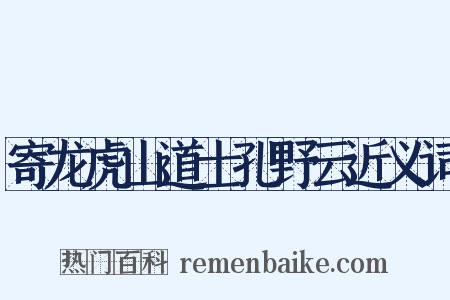 寄龙虎山道士孔野云近义词是什么意思的图片